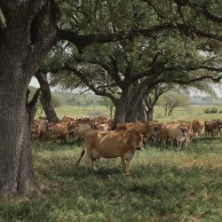 milk 04 946×532