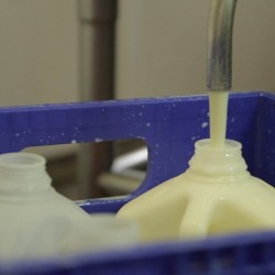 milk 10 946×532