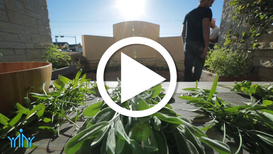 Video: Urban Gardening with Wiseman Family Practice