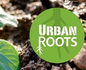Wiseman Family Practice partners with Urban Roots