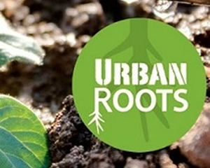 urban roots