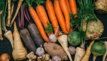 root,crops,,carrots,,parsley,root,,turnip,,onion,,garlic,,jerusalem,artichoke,