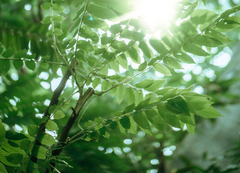 Functional medicine functional medicine