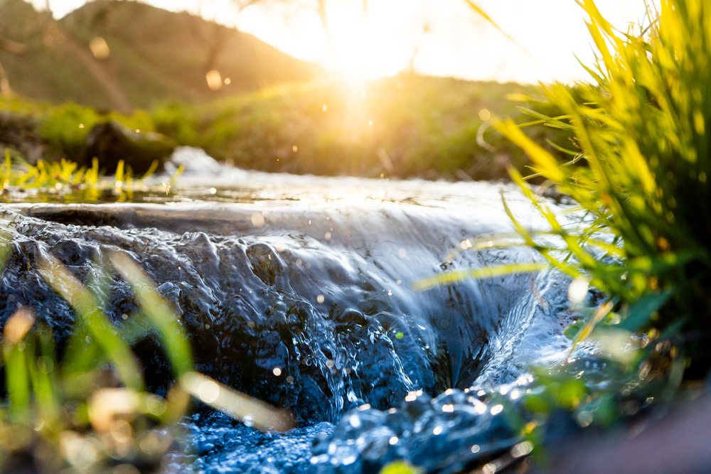 spring,background,stream,of,water,in,the,forest