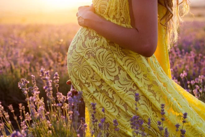 belly,of,pregnant,woman,in,a,lavender,field